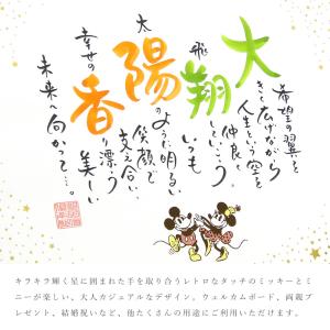 ディズニー 2人用 ミッキー&ミニー スターリ...の詳細画像1