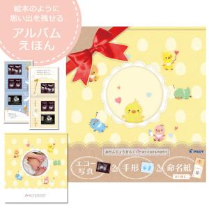 エコー写真 保存 アルバムの商品一覧 通販 Yahoo ショッピング