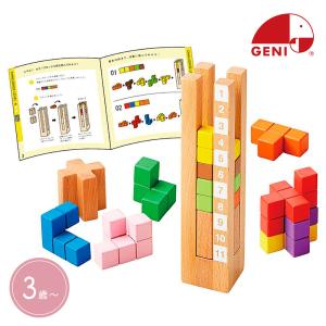 エド・インター（Ed・Inter） ユークリッドブロック 積み木 600ピース