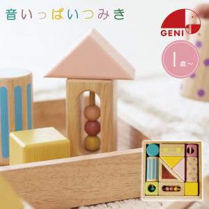 エド・インター（Ed・Inter） ユークリッドブロック 積み木 600ピース