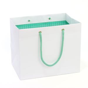 100枚セット@230円】 引き出物 紙袋 レギュラー（大） RG レッド