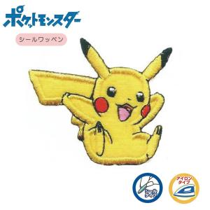 ポケモン ワッペン 手作り 楽器 手芸 コレクション の商品一覧 通販 Yahoo ショッピング
