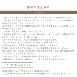 名前 ポエム 2人用「トイ・ストーリー」パーテ...の詳細画像3