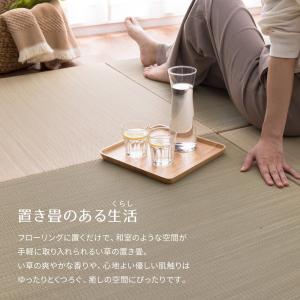 置き畳 ユニット畳 12枚セット い草 6畳 ...の詳細画像2