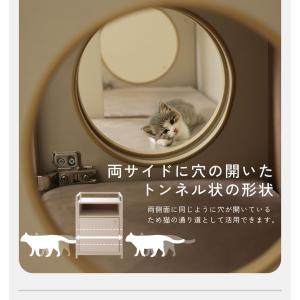 キャットウォーク 棚 キャビネット チェスト ...の詳細画像5