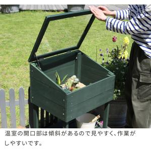 温室 ミニ 窓付き 木製 室内 屋外 家庭用 ...の詳細画像5