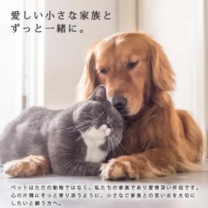 メモリアルボックス 仏壇 ペット コンパクト ...の詳細画像2