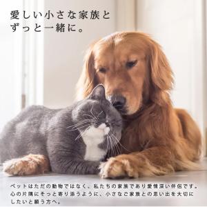 ミニ仏壇 おしゃれ モダン コンパクト 小型 ...の詳細画像2