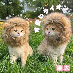 ペット用帽子 犬 猫 ペット用 ウィッグ コスプレキャップ