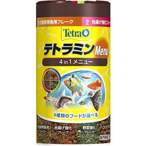 テトラ (Tetra) テトラミン メニュー 95g 熱帯魚 エサ