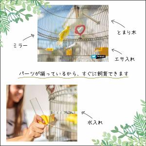 鳥かご 鳥 小鳥 用 バリアンティークブラス ...の詳細画像2