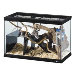 ハムスター モルモット ケージ ラタトゥート 60 フルセット ハウス 小動物用 イタリアferpl...