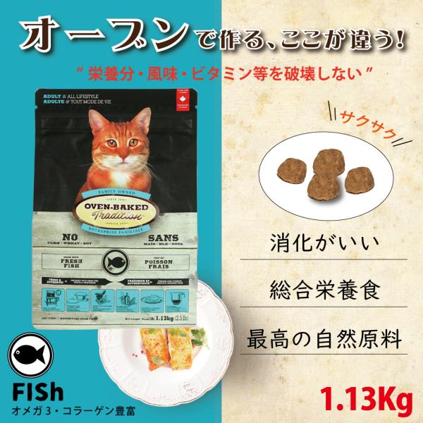 キャットフード ドライ 成猫用 アダルト フィッシュ 1.13kg  オーブンベークド 猫 総合栄養...