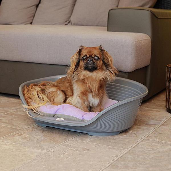 シエスタ SIESTA DX 4 犬 猫 ペット用 洗える ベッド プラスチック 寝具 丈夫 頑丈 ...