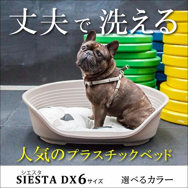 犬 猫 ベッド 洗える シエスタ SIESTA DX 6 ペット用 プラスチック 寝具 丈夫 頑丈 ...