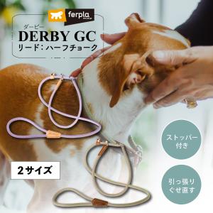 犬 首輪 引っ張り防止 ハーフチョーク ダービー DERBY GC10/160 犬 首輪 リード セット イタリアferplast社製｜fantasyworld