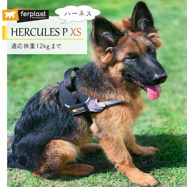 犬 ハーネス HERCULES P XS ハーネス 適応体重12kgまで イタリアferplast社...
