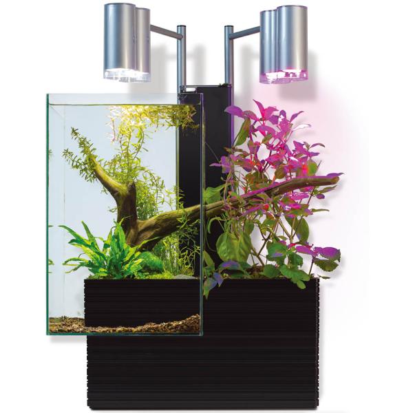 ブリオ brio 水槽 フルセット 西日本60Hz 家庭用 アクアポニックス brio35 植物 魚...