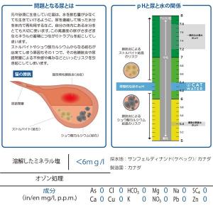 キャット ウォーター 500ml PH バラン...の詳細画像4