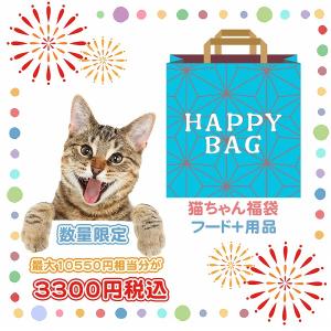 2025年 夏【福袋】 猫 3300円 数量限定セール サマーボックス 3300円