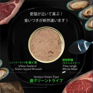 キャットフード ウェット サーモン&グリーント...の詳細画像2