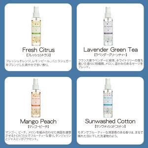 数量限定 セール PET HOUSE ルームス...の詳細画像3