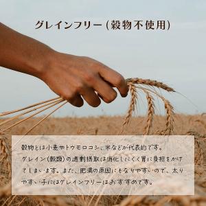 ドッグフード ウェット 日 ツナ&アイヘルス ...の詳細画像3