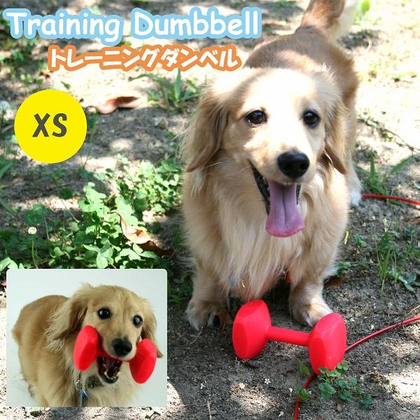 犬 おもちゃ 壊れない 丈夫 トレーニング ダンベル XS