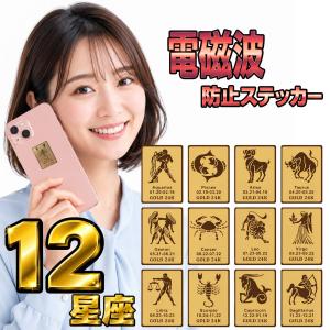 選べる12星座 貼るだけ簡単 12星座 電磁波対策ステッカー 2枚セット 角形 29mm×21mm ゴールド 星座シール 星座ステッカー 12星座シール 黄道十二宮 スマホ