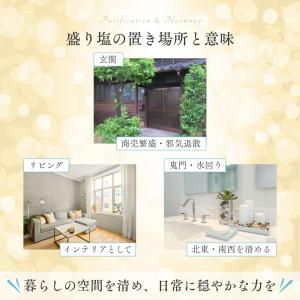 盛り塩 ヒマラヤ岩塩の盛り塩 ボール型 交換不...の詳細画像3