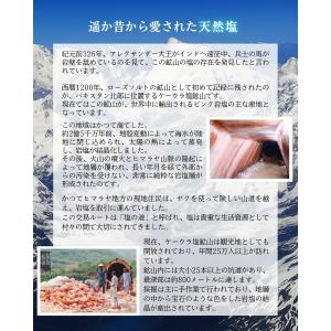 盛り塩 ヒマラヤ岩塩 ピラミッドパワー 浄化 ...の詳細画像4