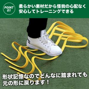 やわらか ソフトミニハードル ジャンプトレーニ...の詳細画像1