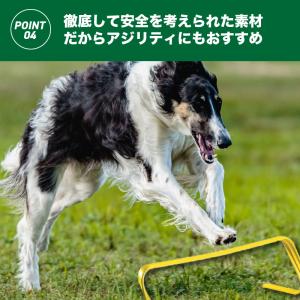 やわらか ソフトミニハードル ジャンプトレーニ...の詳細画像4