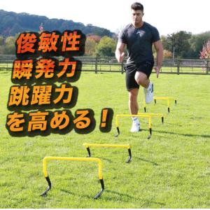 2way ミニハードル ミニ ハードル 23c...の詳細画像3