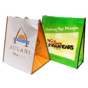 スターバックス ミッキー キャンバス トートバッグ スタバ ベアリスタ