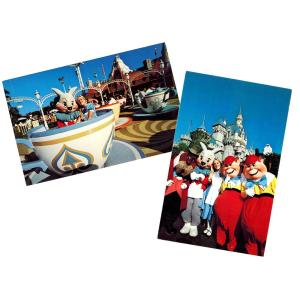 TDL ミッキー&ドナルド フィッシング 釣り 鏡 ミラー アート フレーム