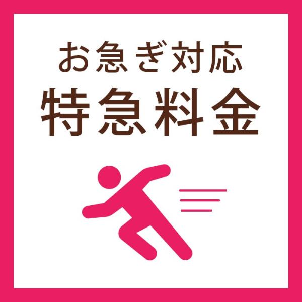 お急ぎ対応オプション / 「特急料金」