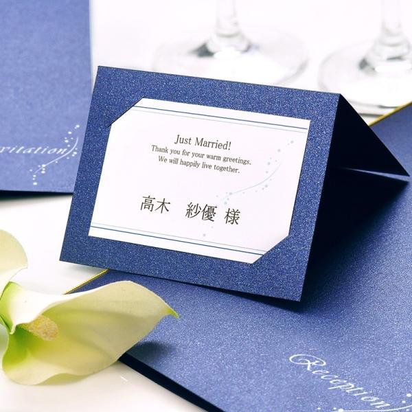 ＼キラキラ／「ナイトブルー（ミランダあい）」席札手作りセット（10名様分）／結婚式