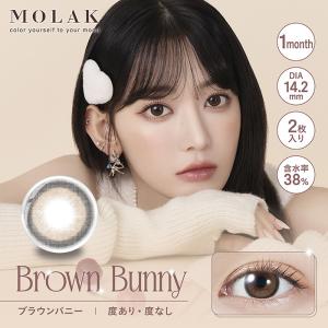 (1箱2枚) MOLAK モラク マンスリー ...の詳細画像5