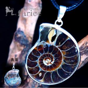 No.00149 本物 虹色 アンモナイト化石 アンモナイト 化石 化石標本