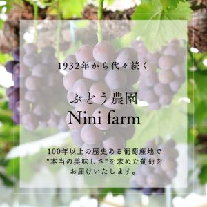 【農家直送】こだわりのシャインマスカット 2房...の詳細画像3