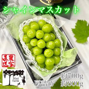 【農家直送】最高ランク　こだわり大房大粒シャインマスカット 一房詰め 約７００g以上　約800g以上　お中元 贈答品 ギフト ぶどう フルーツ