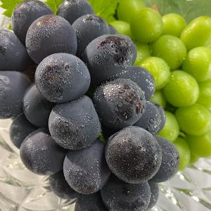 【ぶどう専門農家直送】こだわりのニューピオーネ...の詳細画像1