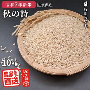 秋の詩 2025年産新米 | 白米 10kg 2025年産 米 令和7年 お米