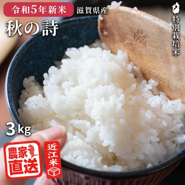 米 秋の詩 3kg 令和5年 米 お米 玄米 白米 精米無料 農家直送 近江米 滋賀県産 特別栽培米