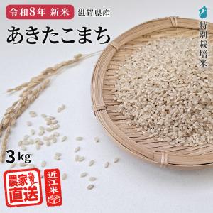 【予約販売|2026年産新米|9月中旬収穫予定】...の商品画像