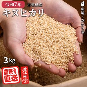 キヌヒカリ 玄米 3kg 2025年産 米 令和7年 お米 農家直送 近江米 滋賀県産