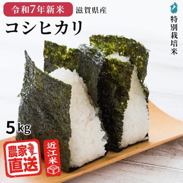 滋賀県ご当地モール500円OFFクーポン 2025年産新米 |  コシヒカリ 白米 5kg 2025...