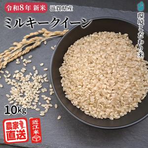 滋賀県産　ミルキークィーン　お米　玄米15キロ ミルキークイーン 【予約販売｜2026年産新米｜9月中旬収穫予定】 白米