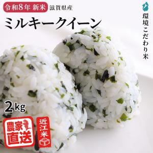 ミルキークイーン 【2026年産新米】 白米 10kg 2026年産 米 令和8年 お